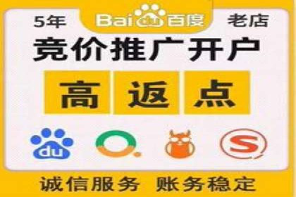 百度竞价排名服务：实战案例教你如何高效推广